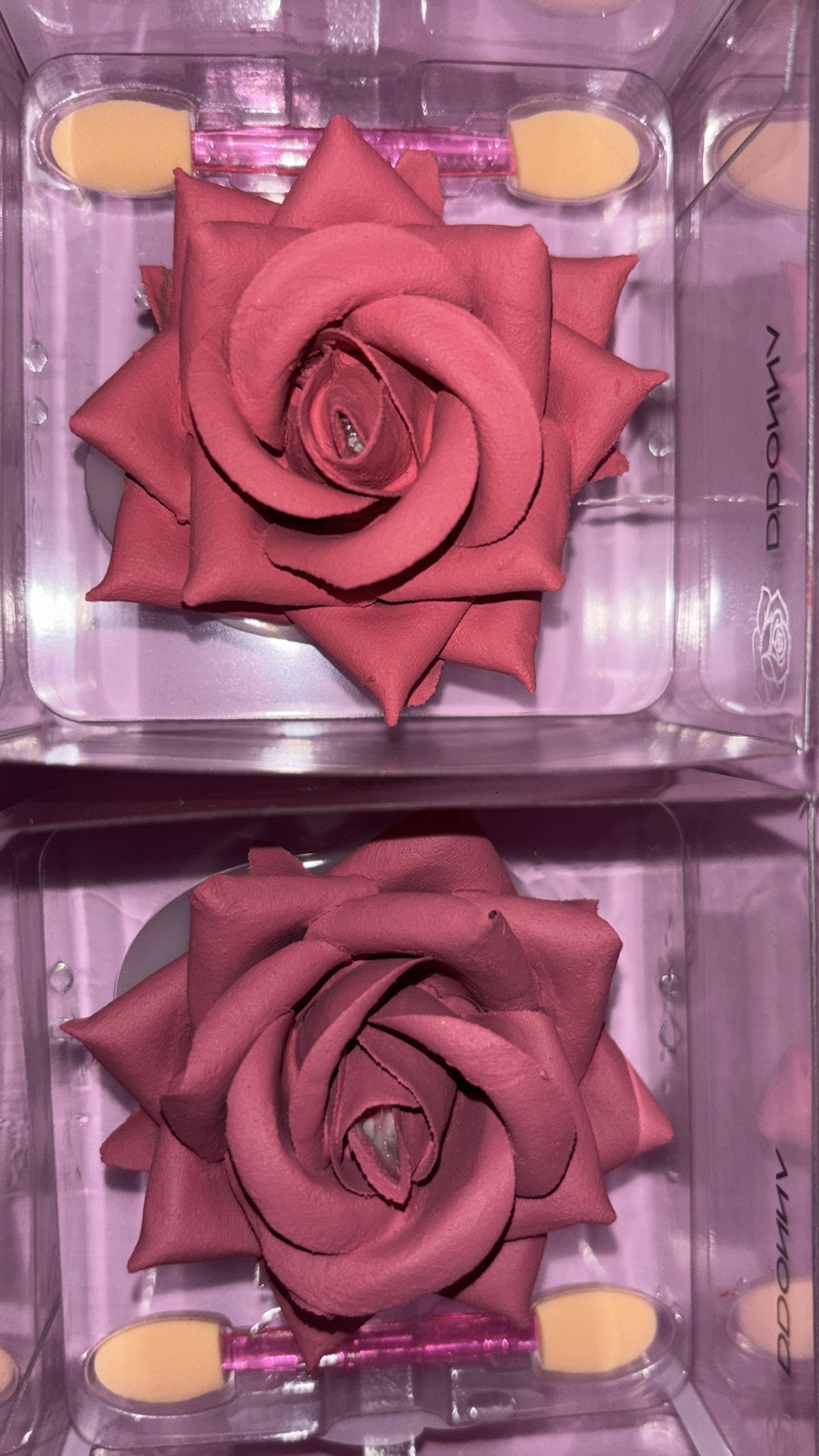 Blush pétales de rose