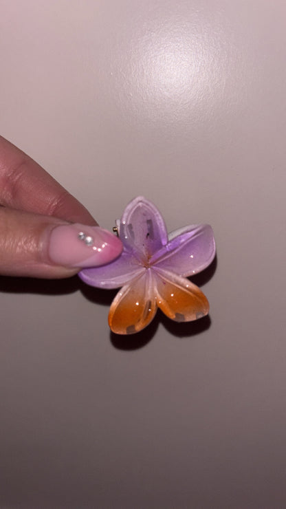 Mini pince Fleurs 🌸