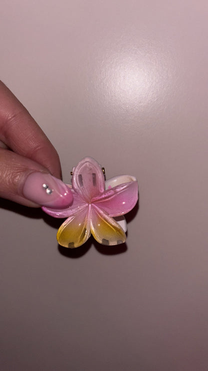 Mini pince Fleurs 🌸