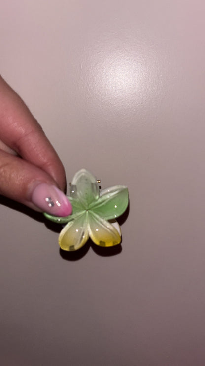 Mini pince Fleurs 🌸